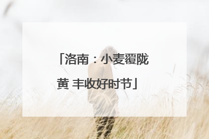 洛南：小麦覆陇黄 丰收好时节