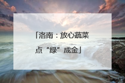 洛南：放心蔬菜点“绿”成金