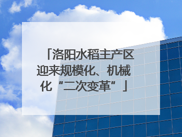 洛阳水稻主产区迎来规模化、机械化“二次变革”