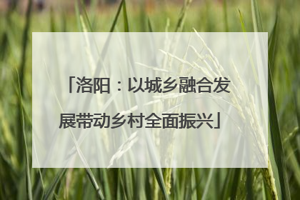 洛阳：以城乡融合发展带动乡村全面振兴