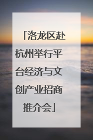 洛龙区赴杭州举行平台经济与文创产业招商推介会