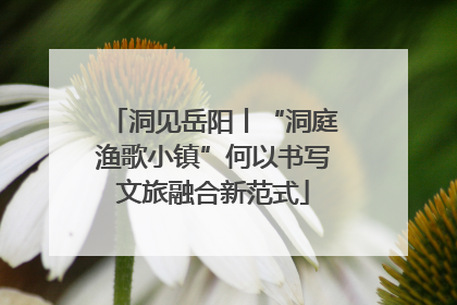 洞见岳阳丨“洞庭渔歌小镇”何以书写文旅融合新范式