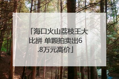 海口火山荔枝王大比拼 单颗拍卖出6.8万元高价