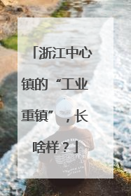 浙江中心镇的“工业重镇”，长啥样？