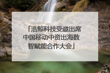 浩鲸科技受邀出席中国移动中资出海数智赋能合作大会
