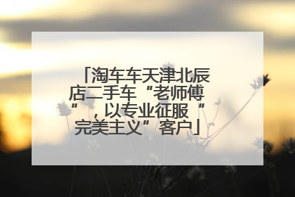 淘车车天津北辰店二手车“老师傅”，以专业征服“完美主义”客户