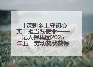 深耕乡土守初心 实干担当践使命——记人保集团2025年五一劳动奖状获得者、人保财险江苏南通海安支公司