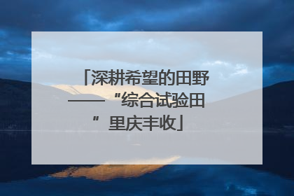 深耕希望的田野——“综合试验田”里庆丰收