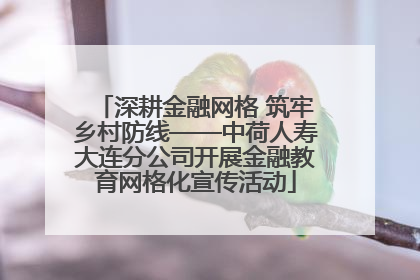 深耕金融网格 筑牢乡村防线——中荷人寿大连分公司开展金融教育网格化宣传活动