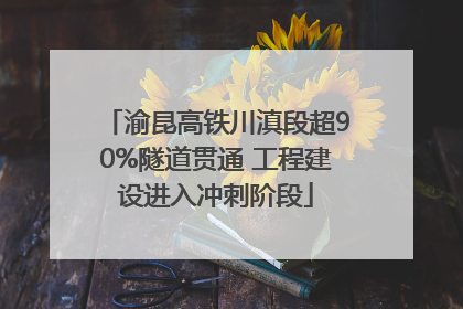 渝昆高铁川滇段超90%隧道贯通 工程建设进入冲刺阶段