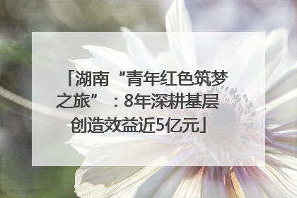 湖南“青年红色筑梦之旅”：8年深耕基层创造效益近5亿元