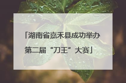 湖南省嘉禾县成功举办第二届“刀王”大赛