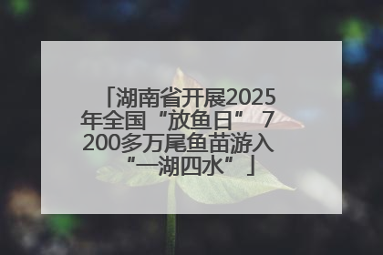 湖南省开展2025年全国“放鱼日” 7200多万尾鱼苗游入“一湖四水”