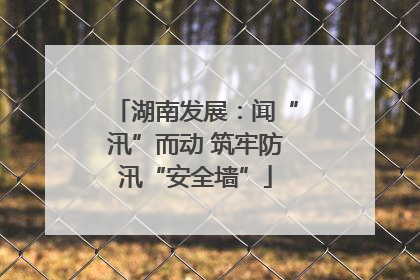 湖南发展：闻“汛”而动 筑牢防汛“安全墙”