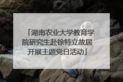 湖南农业大学教育学院研究生赴徐特立故居开展主题党日活动