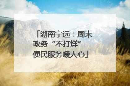 湖南宁远：周末政务“不打烊” 便民服务暖人心