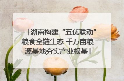 湖南构建“五优联动”粮食全链生态 千万亩粮源基地夯实产业根基