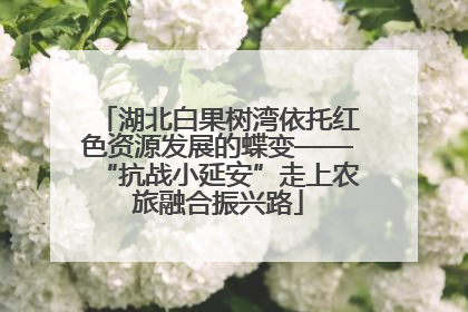 湖北白果树湾依托红色资源发展的蝶变——“抗战小延安”走上农旅融合振兴路