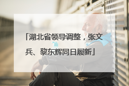 湖北省领导调整，张文兵、黎东辉同日履新