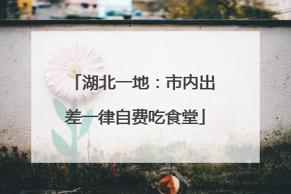 湖北一地：市内出差一律自费吃食堂