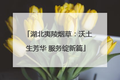 湖北夷陵烟草：沃土生芳华 服务绽新篇