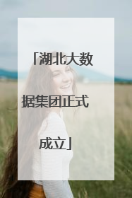 湖北大数据集团正式成立