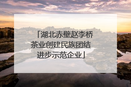 湖北赤壁赵李桥茶业创建民族团结进步示范企业