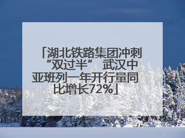 湖北铁路集团冲刺“双过半” 武汉中亚班列一年开行量同比增长72%