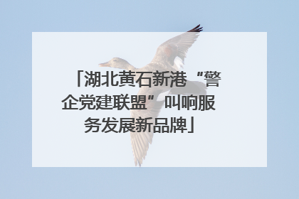 湖北黄石新港“警企党建联盟”叫响服务发展新品牌