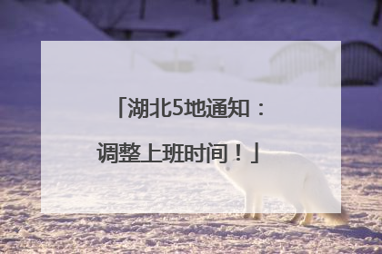 湖北5地通知：调整上班时间！