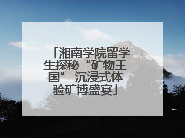 湘南学院留学生探秘“矿物王国” 沉浸式体验矿博盛宴