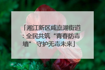 湘江新区咸嘉湖街道：全民共筑“青春防毒墙” 守护无毒未来