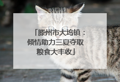 滕州市大坞镇：倾情助力三夏夺取粮食大丰收