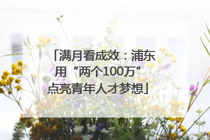 满月看成效：浦东用“两个100万”点亮青年人才梦想