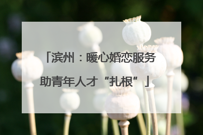 滨州：暖心婚恋服务助青年人才“扎根”