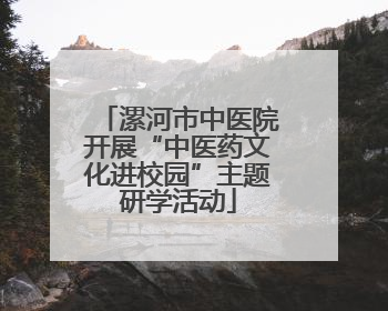 漯河市中医院开展“中医药文化进校园”主题研学活动