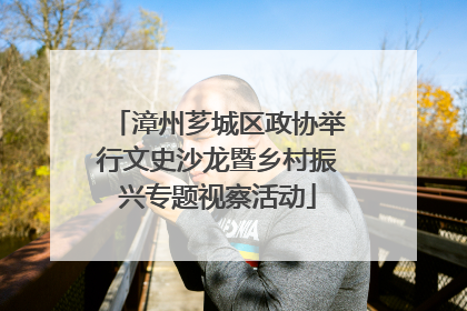 漳州芗城区政协举行文史沙龙暨乡村振兴专题视察活动