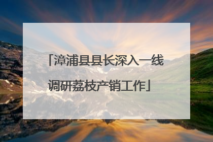 漳浦县县长深入一线调研荔枝产销工作