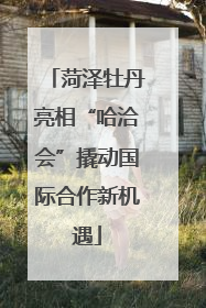 菏泽牡丹亮相“哈洽会”撬动国际合作新机遇