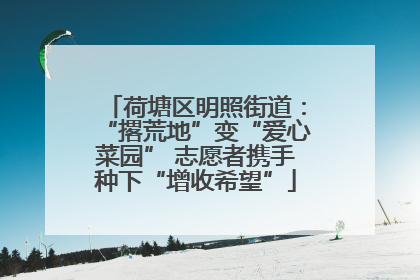 荷塘区明照街道：“撂荒地”变“爱心菜园” 志愿者携手种下“增收希望”