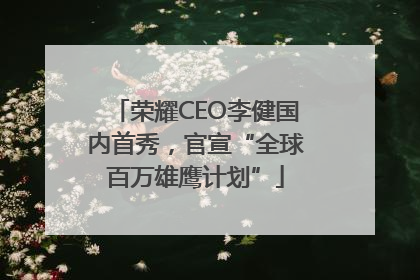 荣耀CEO李健国内首秀，官宣“全球百万雄鹰计划”