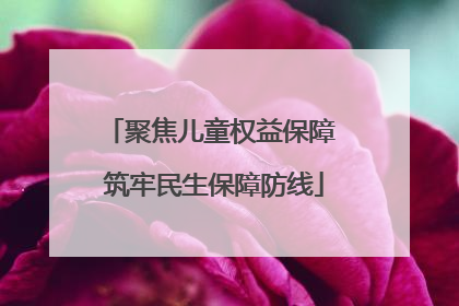 聚焦儿童权益保障 筑牢民生保障防线