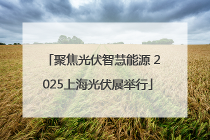 聚焦光伏智慧能源 2025上海光伏展举行