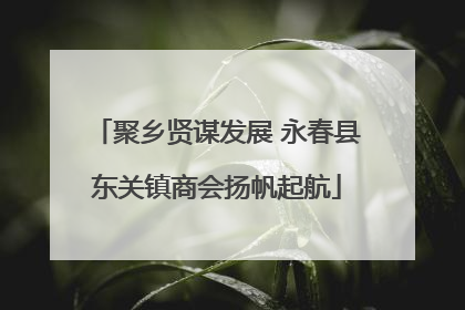 聚乡贤谋发展 永春县东关镇商会扬帆起航
