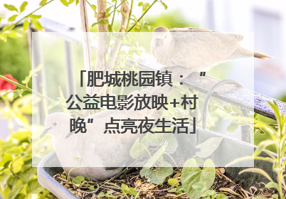 肥城桃园镇：“公益电影放映+村晚”点亮夜生活