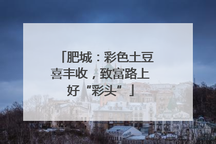 肥城：彩色土豆喜丰收，致富路上好“彩头”