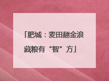 肥城：麦田翻金浪藏粮有“智”方