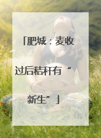 肥城：麦收过后秸秆有“新生”