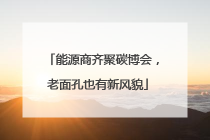 能源商齐聚碳博会，老面孔也有新风貌