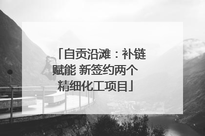 自贡沿滩：补链赋能 新签约两个精细化工项目